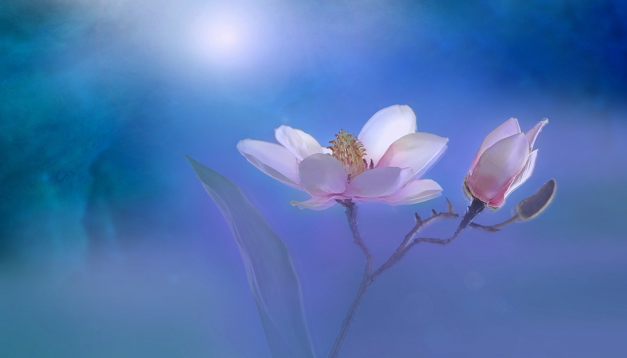 pixabay-image-3054801
